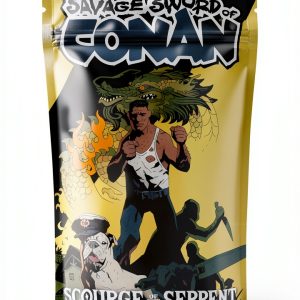 Savage Sword of Conan Graphic Novel Epic Fantasy Series-0